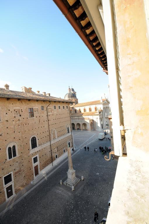 Domus Urbino
